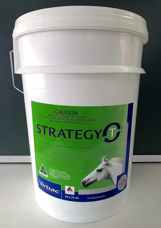 STRATEGY-T 37.8GM (PAIL 60)