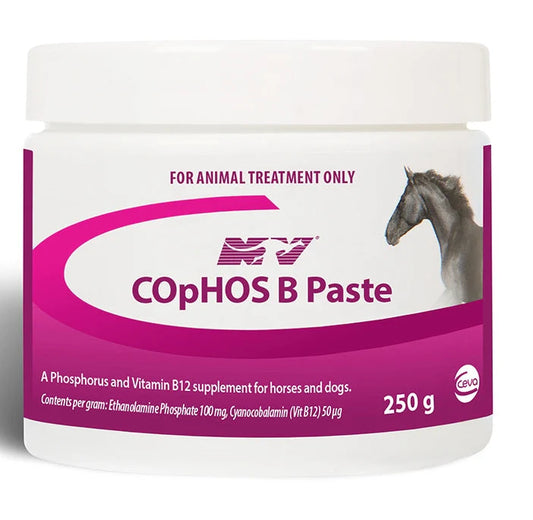 COPHOS B PASTE 250GM