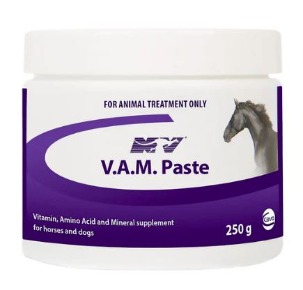 VAM PASTE 250GM