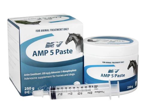 AMP 5 PASTE 250GM