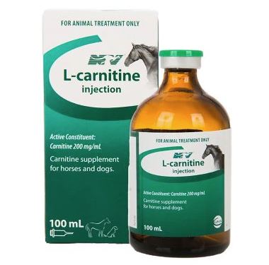 L CARNITINE 100ML