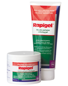 RAPIGEL 250GM