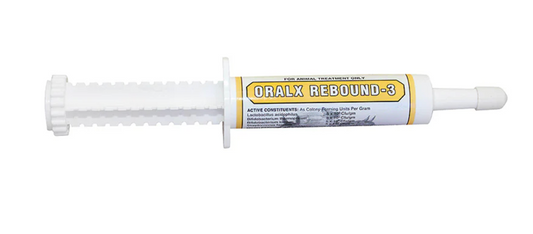 ORALX REBOUND3 34GM (EA)