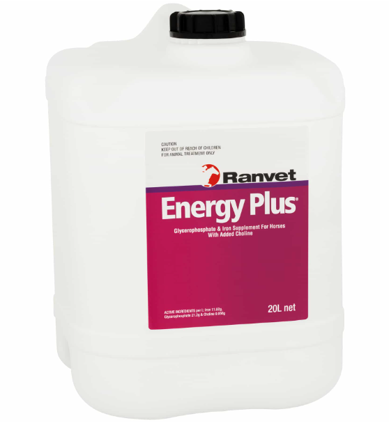 ENERGY PLUS 20LT