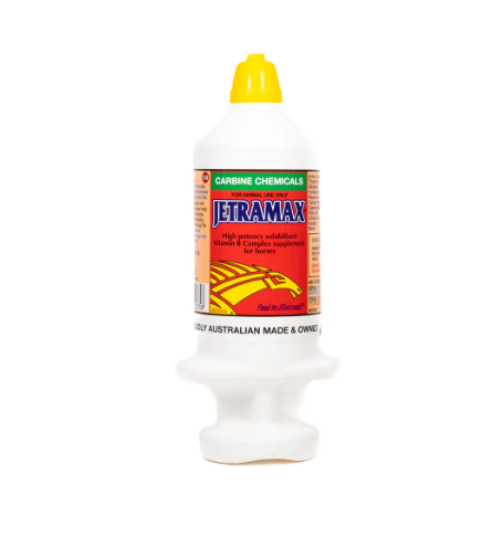 JETRAMAX B COMPLEX  600ML