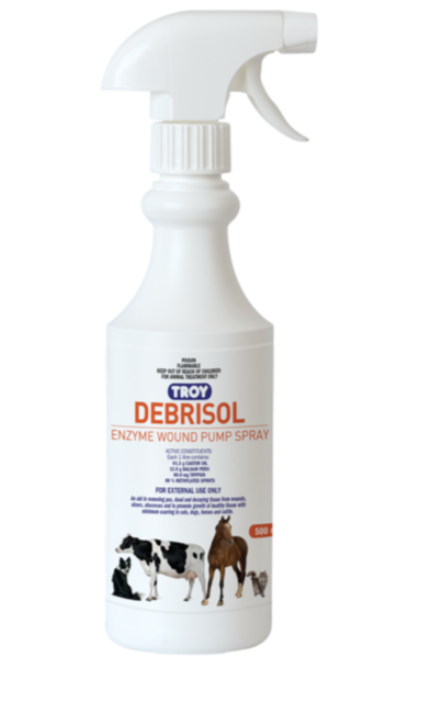 DEBRISOL 500ML