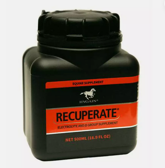 RECUPERATE 500ML