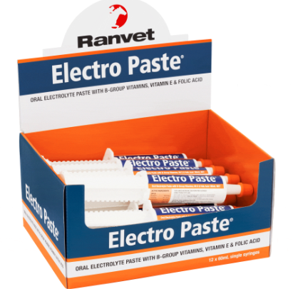 ELECTROPASTE 60GM (BX 12)