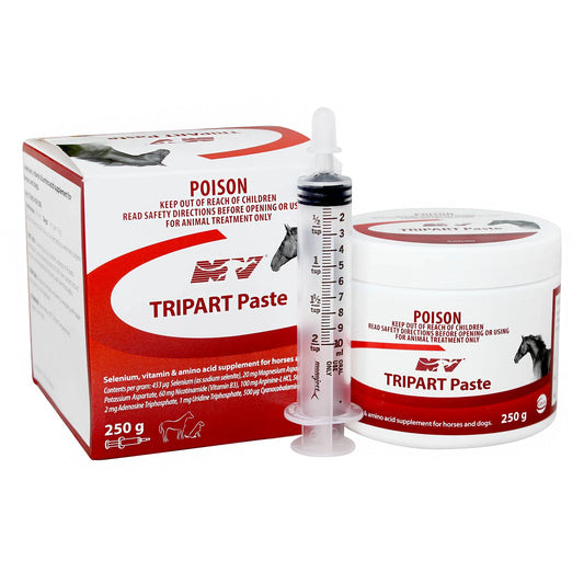 TRIPART PASTE 250GM