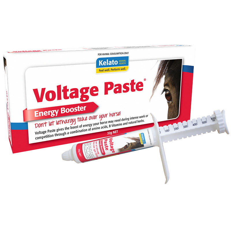 VOLTAGE PASTE 32GM (EA)