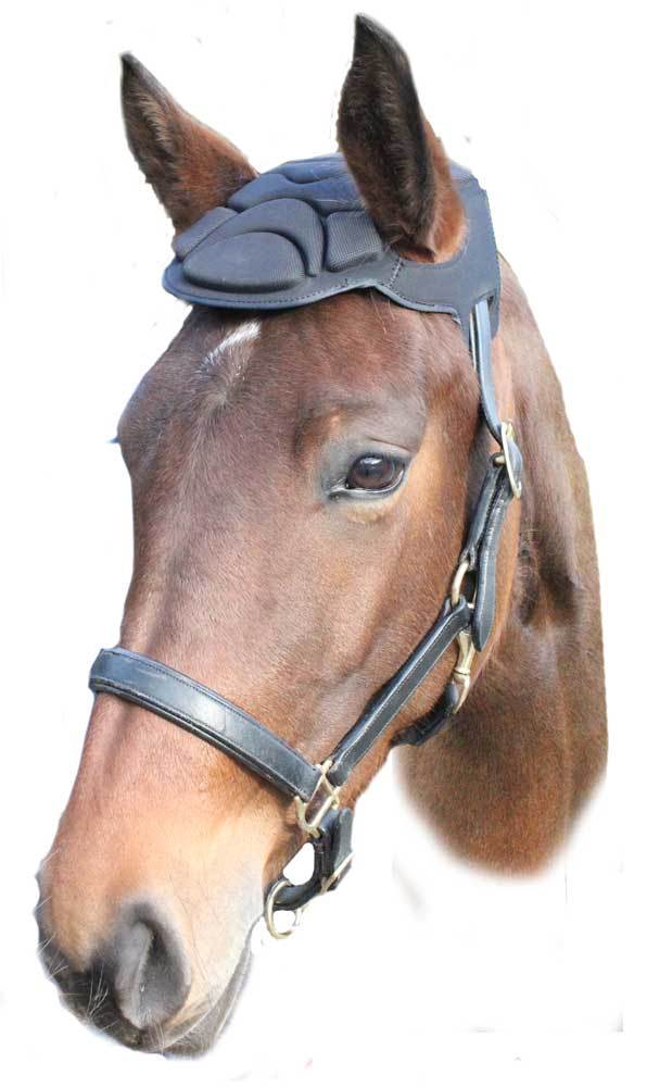 HORSE HELMET WW