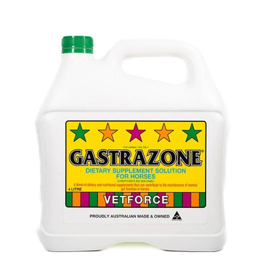 GASTRO ZONE 4LT