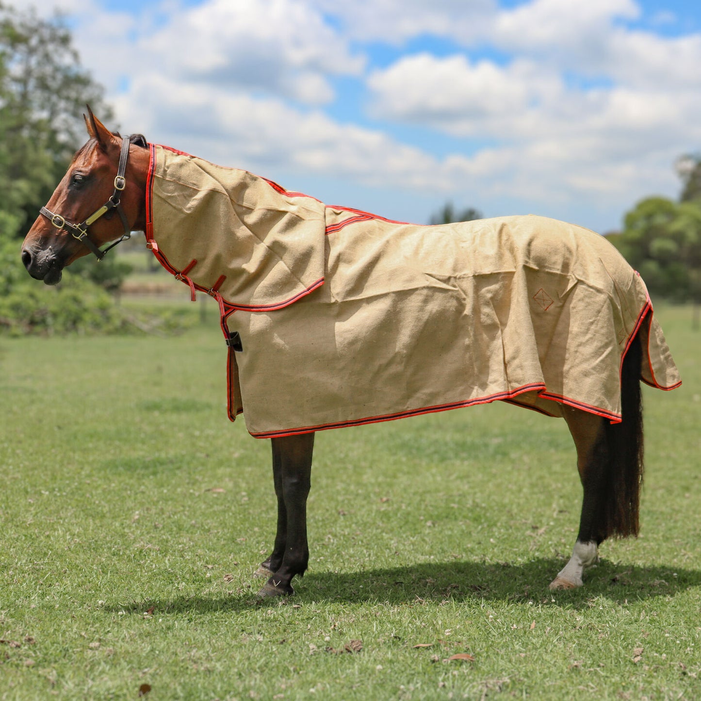 RUG JUTE RED/NVY BIND COMBO 6'0