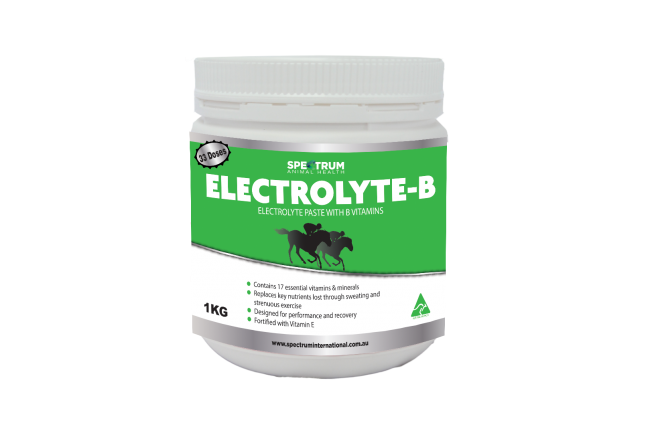 ELECTROLYTE B PASTE 1LT